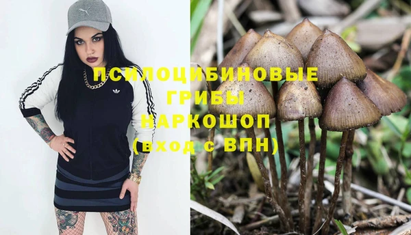 mdma Ладушкин