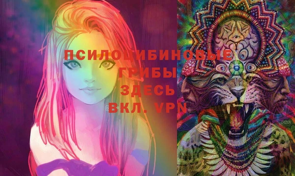 марки lsd Лабытнанги
